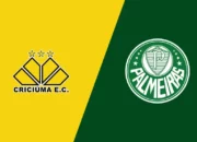 Prediksi Bola Cricuma Vs Palmeiras 3 Juni 2024