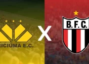 Prediksi Bola Criciuma Vs Botafogo 23 Juni 2024