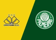 Prediksi Liga Serie A Brasil : Criciuma Vs Palmeiras, Kick Off 3 Juni 2024