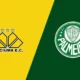 Criciuma Vs Palmeiras