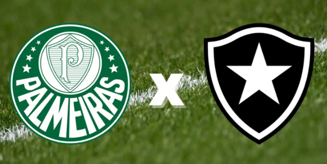 BOTAFOGO VS PALMEIRAS