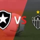 Botafogo Vs Atletico Mineiro