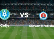 Prediksi Bola Celje Vs Slovan Brastislava 25 Juli 2024