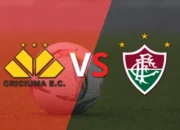 Prediksi Bola Criciuma Vs Fluminense 12 Juli 2024