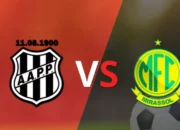 Prediksi Skor Série B Brasil: Ponte Preta vs Mirassol SP, 13 Juli 2024