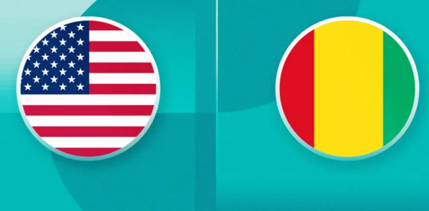 usa vs guinea