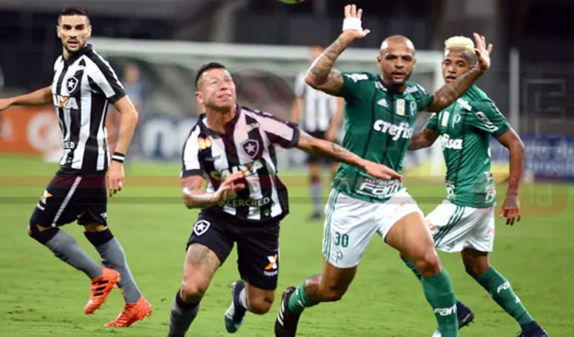 Botafogo RJ vs Palmeiras