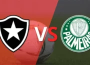 Prediksi Skor Botafogo RJ vs Palmeiras: CONMEBOL Copa Libertadores 2024