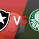 Botafogo RJ vs Palmeiras