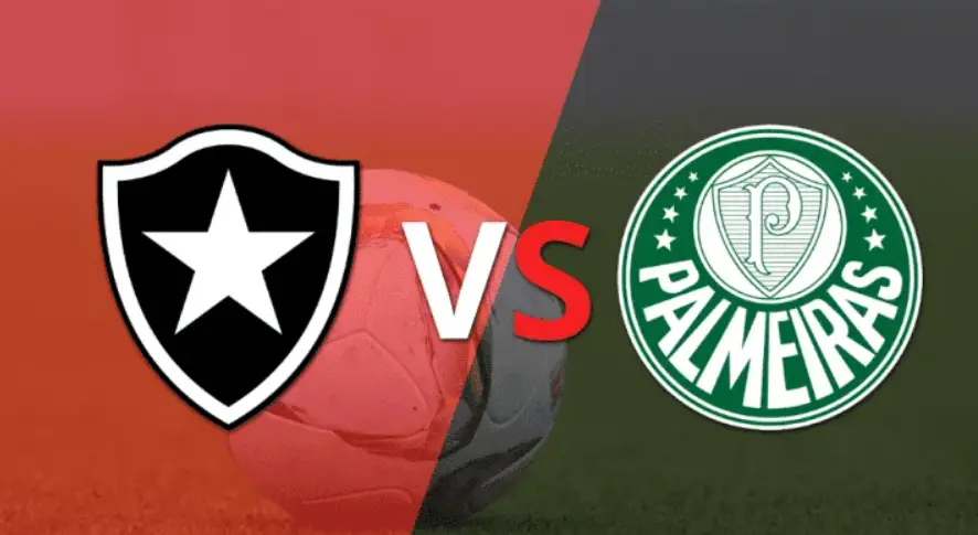 Botafogo RJ vs Palmeiras