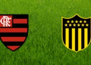 Prediksi Bola Flamengo Vs Penarol 20 September 2024