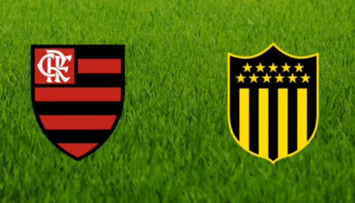 Prediksi Bola Flamengo Vs Penarol 20 September 2024